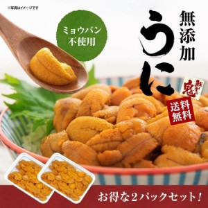 うに 無添加 !ミョウバン不使用! 200g ( 100g×2P ) 刺身 ウニ  うに丼 雲丹 小分け 全国送料無料