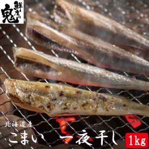  コマイ【2パックセット】干しコマイ おつまみ 北海道産 1kg (500g×2) 炙り トースター 七味 一味 マヨネーズ 干物 魚 全国送料無料