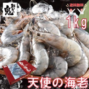 エビ 天使の海老 1kg えび 海老 ニューカレドニア産 40〜50尾　お刺身OK 全国送料無料