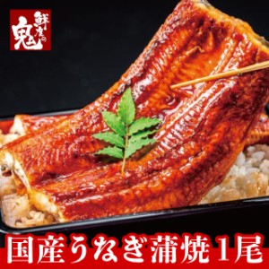 国産 うなぎ 蒲焼き 1尾 お中元 蒲焼き 無投薬 鰻 蒲焼 ウナギ  プレゼント ギフト 丑の日 全国送料無料　