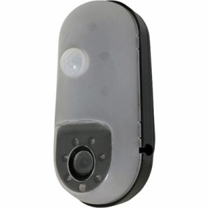 リーベックス SDカード録画式センサーカメラ SD1000 SD1000 環境改善用品 防災・防犯用品 防犯用カメラ(代引不可)【送料無料】