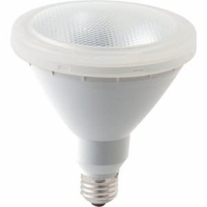 トーメ LED屋外用ビームランプ LDR9L100WT2 工事・照明用品 作業灯・照明用品 LED電球(代引不可)