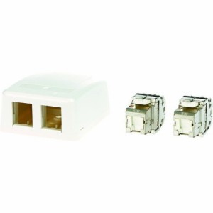 コーニング Cat6A RJ45ジャック+露出型アウトレット(2ポート) VOLSMB2S6A(代引不可)【送料無料】