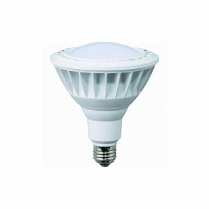 led 投光器 電球色の通販｜au PAY マーケット