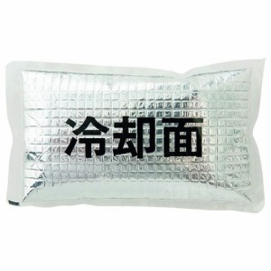 アイトス アイスパック(1個) AZ865933101F 環境改善用品 環境改善用品 暑さ対策用品 保冷剤(代引不可)