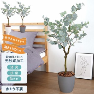 フェイクグリーン ユーカリ 観葉植物 フェイク 人工観葉植物 大型 光触媒 造花 インテリア リアル おしゃれ お祝い 樹 木 室内 人気 空気