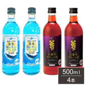 サワーの素 4本 詰合せセット ギフトセット 500ml 4本 リキュール サワー レモンサワー ブドウサワー 網走ビール 北海道 網走 クラフトビ