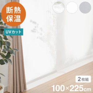 ビニールカーテン 断熱 100×225cm 防寒カーテン 幅100 冷気を防ぐ 暖房 透明 冷房 断熱 窓 省エネ 明和グラビア(代引不可)【送料無料】