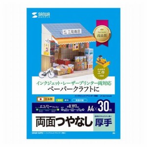 サンワサプライ インクジェットプリンタ用紙 厚手 JP-EM1NA4N(代引不可)