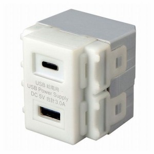 サンワサプライ 埋込USB給電用コンセント TYPEC搭載 TAP-KJUSB1C1W(代引不可)【送料無料】