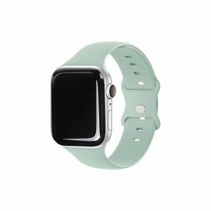 EGARDEN SILICONE BAND for Apple Watch 41/40/38mm Apple Watch用バンド ライトミント EGD21773AWGR(代引不可)