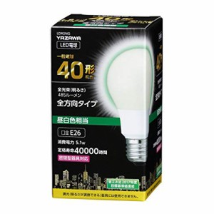 5個セット YAZAWA 一般電球形LED 40W相当 昼白色 LDA5NGX5 家電 照明器具 その他の照明器具 LDA5NGX5(代引不可)【送料無料】