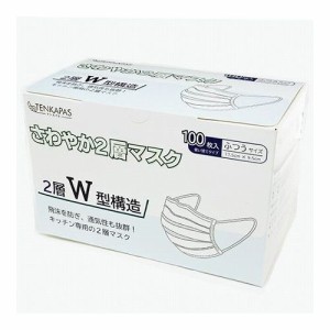 TENKAPAS 2層マスク 5000枚 (1箱100枚入×50箱) レギュラーサイズ mask07(代引不可)【送料無料】