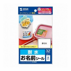 5個セット サンワサプライ インクジェット耐水お名前シールL LB-NM8KTX5(代引不可)【送料無料】