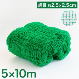 バックネット 野球 5×10m 網目2.5cm グリーン 防球ネット ネット 保護用ネット 多目的ネット ゴルフネットバッティングネット カラスよ