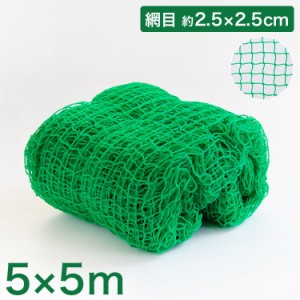 バックネット 野球 5×5m 網目2.5cm グリーン 防球ネット ネット 保護用ネット 多目的ネット ゴルフネットバッティングネット カラスよけ