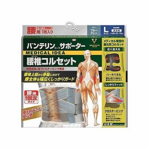 バンテリンサポーター 腰椎コルセット 大きめ(Lサイズ) ブルーグレー 127706019【送料無料】