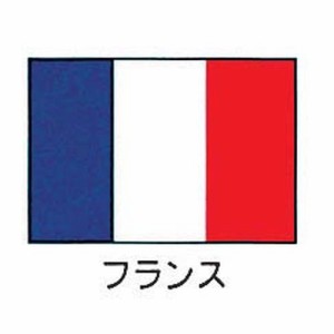 上西産業 エクスラン万国旗 70×105cm フランス YJN7201【送料無料】
