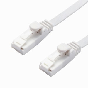 エレコム LANケーブル CAT6A準拠 爪折れ防止 フラット 3m ホワイト LD-GFAT/WH30(代引不可)