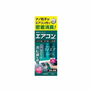 晴香堂 カーオール 車用 消臭芳香剤 消臭ナノエアエアコンスプレー 微香ソープ 3274 消臭剤