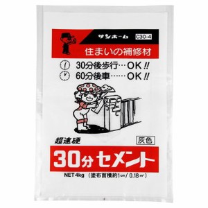 30分セメント-灰色 C30-4-4KG