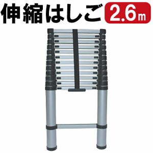 伸縮らくらくはしご(高さ2.6m) はしご 梯子 ハシゴ 伸縮(代引不可)【送料無料】