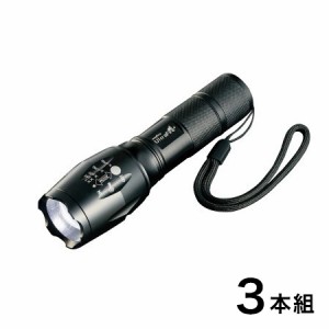 LEDズームライト 3本組 ブラック 集光・拡散(代引不可)【送料無料】