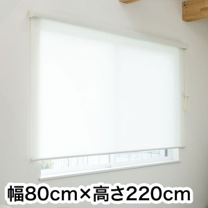 ロールスクリーン カバー付き 防炎 無地 幅80cm×高さ220cm シンプル おしゃれ 北欧 オフィス マンション 法人 間仕切り ロールカーテン(