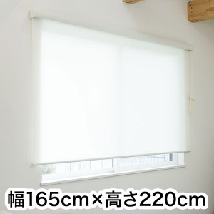 ロールスクリーン カバー付き 防炎 無地 幅165cm×高さ220cm シンプル おしゃれ 北欧 オフィス マンション 法人 間仕切り ロールカーテン