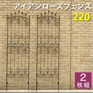 アイアンローズフェンス220(2枚組) ダークブラウン フェンス 目隠し アイアン ガーデニング 枠 柵 仕切り 目隠し(代引不可)【送料無料】