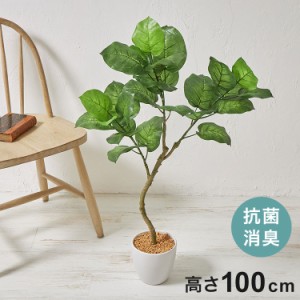 フェイクグリーン ウンベラータツリー 約100cm 抗菌 消臭 観葉植物 フェイク 光触媒 人工観葉植物 インテリア おしゃれ 鉢 植木 葉 枝 木