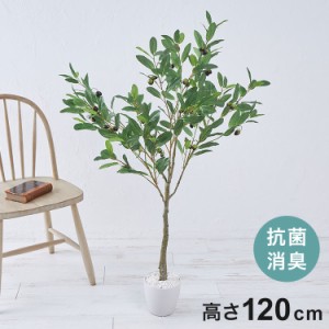 フェイクグリーン オリーブツリー 約120cm 抗菌 消臭 観葉植物 フェイク 光触媒 人工観葉植物 インテリア おしゃれ 鉢 植木 葉 枝 木 室