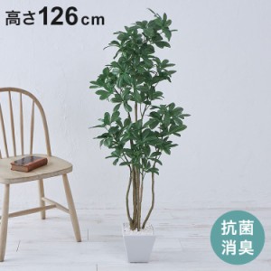 フェイクグリーン カボックツリー 約126cm 抗菌 消臭 観葉植物 フェイク 光触媒 人工観葉植物 インテリア おしゃれ 鉢 植木 葉 枝 木 室