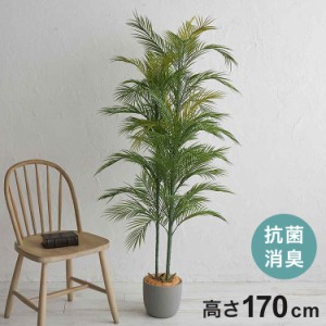 フェイクグリーン アレカヤシ 約170cm 抗菌 消臭 観葉植物 フェイク 光触媒 人工観葉植物 インテリア おしゃれ 鉢 植木 葉 枝 木 室内 玄