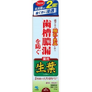 小林製薬 生葉b 100G オーラル/歯磨き/歯周病・知覚過敏(代引不可)