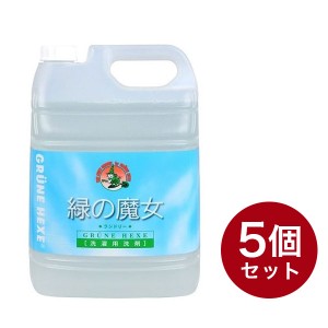 緑の魔女ランドリー業務用5L ケース販売5点セット(代引不可)【送料無料】