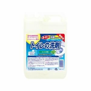 第一石鹸西日本 ルーキーVトイレの洗剤4L(代引不可)
