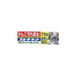 【8個セット】 株式会社ブルーキ ブルーキーネット プロの汚れおとし 110g セット まとめ セット販売 まとめ販売 まとめ売り(代引不可)【