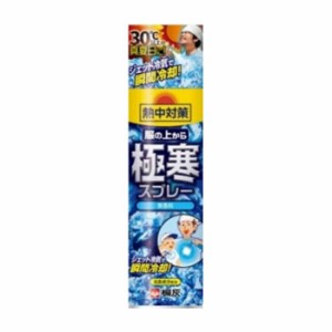 桐灰化学 熱中対策 服の上から極寒スプレー 無香料 日用品 日用消耗品 雑貨品(代引不可)