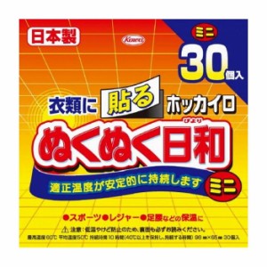 興和 ホッカイロ ぬくぬく日和 貼るミニ30個 日用品 日用消耗品 雑貨品(代引不可)