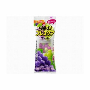 小林製薬 噛むブレスケア アソート 25粒 食品(代引不可)