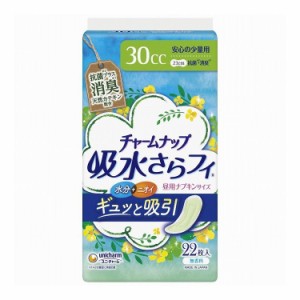 【単品3個セット】 ユニチャーム チャームナップ安心の少量用消臭タイプ22枚×3個(代引不可)【送料無料】