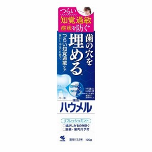 小林製薬 ハウメル 100G 歯磨き(代引不可)