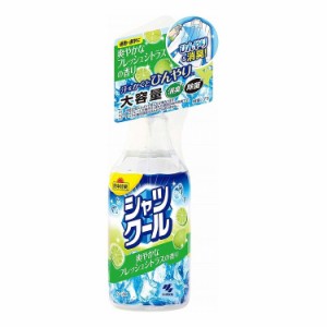 熱中対策シャツクール爽やかなフレッシュシトラスの香り大容量280ML(代引不可)