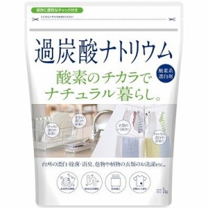 過炭酸 ナトリウムの通販｜au PAY マーケット