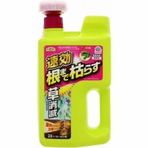 【単品4個セット】アースガーデン草消滅2L アース製薬(代引不可)【送料無料】