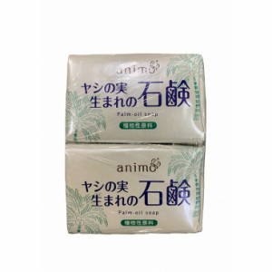 【単品2個セット】ヤシの実石鹸 80G×2P ロケット石鹸(代引不可)