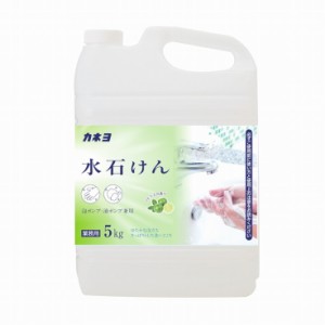 【単品1個セット】水石けん 5kg カネヨ石鹸(代引不可)【送料無料】