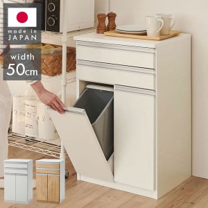 ゴミ箱 隠す収納 キッチンカウンター 2分別 蓋が自動開閉 スライドレール付き完成品 日本製 ペールワゴン ペールストッカー ダストボック