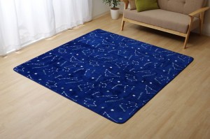 抗菌・防臭 ウォッシャブル フランネル ホットカーペットカバー 『WSミリオン RUG』ネイビー約200×250cm(代引不可)【送料無料】